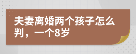 夫妻离婚两个孩子怎么判，一个8岁
