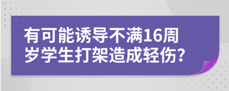 有可能诱导不满16周岁学生打架造成轻伤？