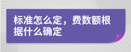 标准怎么定，费数额根据什么确定