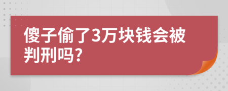 傻子偷了3万块钱会被判刑吗?