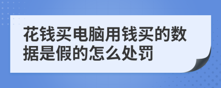 花钱买电脑用钱买的数据是假的怎么处罚
