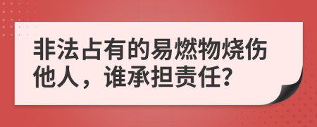 非法占有的易燃物烧伤他人，谁承担责任？