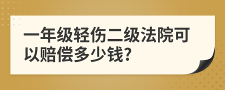 一年级轻伤二级法院可以赔偿多少钱?