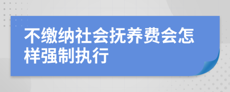 不缴纳社会抚养费会怎样强制执行