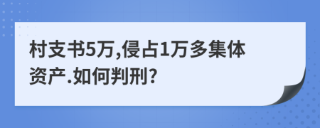 村支书5万,侵占1万多集体资产.如何判刑?