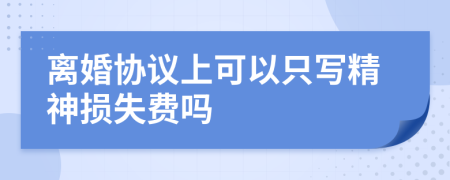 离婚协议上可以只写精神损失费吗