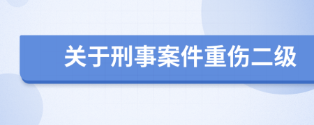 关于刑事案件重伤二级