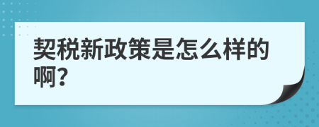 契税新政策是怎么样的啊？