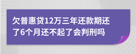 欠普惠贷12万三年还款期还了6个月还不起了会判刑吗