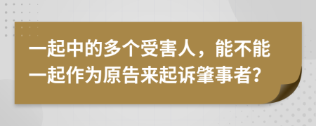 一起中的多个受害人，能不能一起作为原告来起诉肇事者？