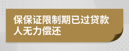 保保证限制期已过贷款人无力偿还