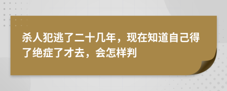 杀人犯逃了二十几年，现在知道自己得了绝症了才去，会怎样判