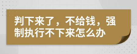 判下来了，不给钱，强制执行不下来怎么办