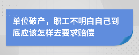 单位破产，职工不明白自己到底应该怎样去要求赔偿