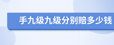 手九级九级分别赔多少钱