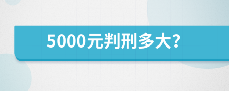 5000元判刑多大？