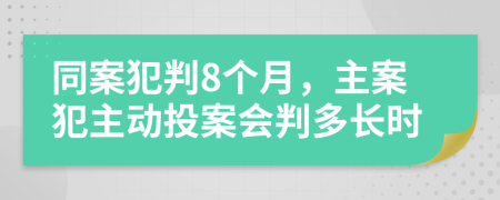 同案犯判8个月，主案犯主动投案会判多长时