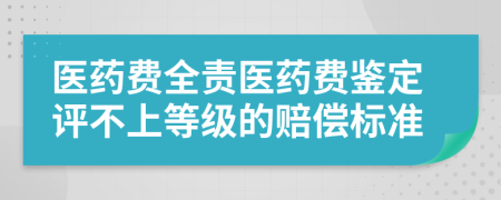 医药费全责医药费鉴定评不上等级的赔偿标准