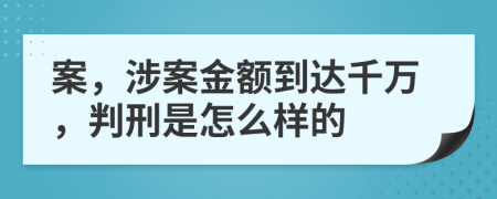 案，涉案金额到达千万，判刑是怎么样的