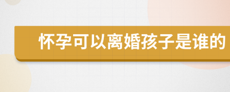 怀孕可以离婚孩子是谁的
