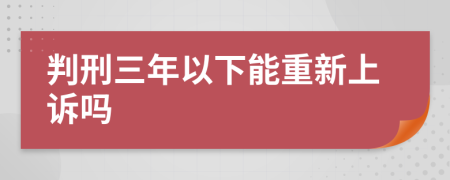 判刑三年以下能重新上诉吗