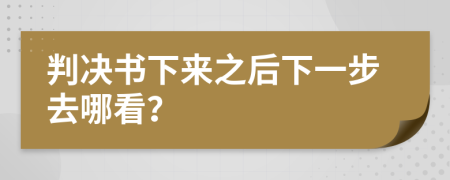 判决书下来之后下一步去哪看？