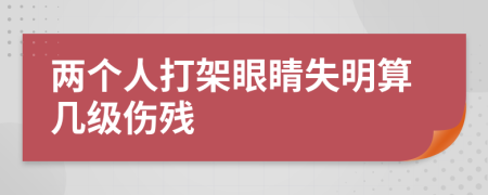 两个人打架眼睛失明算几级伤残