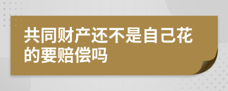 共同财产还不是自己花的要赔偿吗