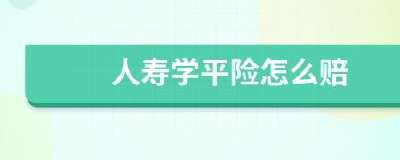 人寿学平险怎么赔