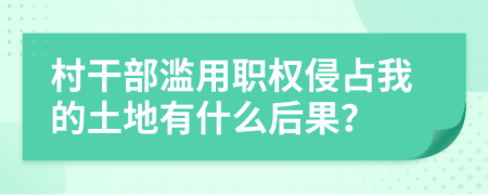 村干部滥用职权侵占我的土地有什么后果？