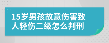 15岁男孩故意伤害致人轻伤二级怎么判刑