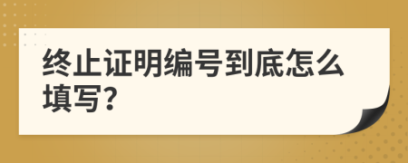 终止证明编号到底怎么填写？