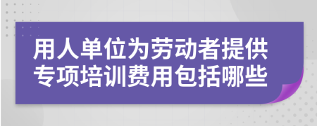 用人单位为劳动者提供专项培训费用包括哪些