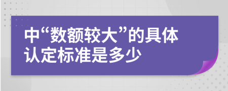 中“数额较大”的具体认定标准是多少