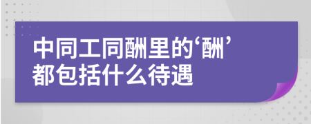 中同工同酬里的‘酬’都包括什么待遇