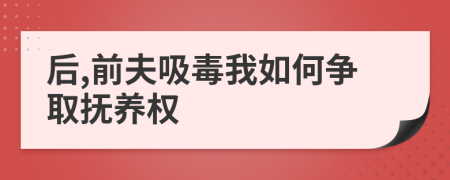 后,前夫吸毒我如何争取抚养权