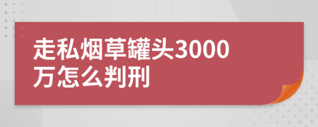 走私烟草罐头3000万怎么判刑