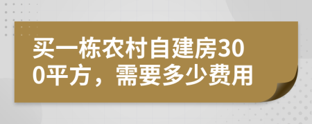 买一栋农村自建房300平方，需要多少费用