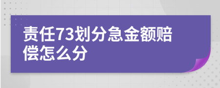 责任73划分急金额赔偿怎么分