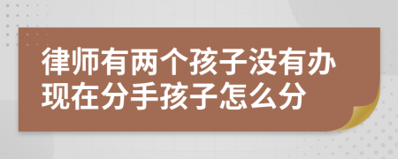 律师有两个孩子没有办现在分手孩子怎么分