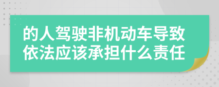 的人驾驶非机动车导致依法应该承担什么责任