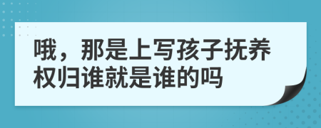 哦，那是上写孩子抚养权归谁就是谁的吗