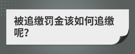 被追缴罚金该如何追缴呢？