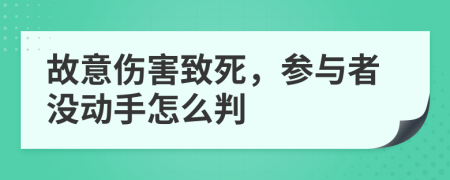 故意伤害致死，参与者没动手怎么判