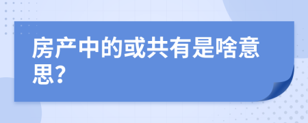 房产中的或共有是啥意思？