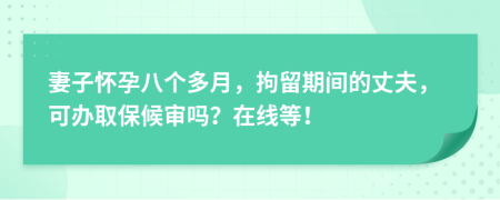 妻子怀孕八个多月，拘留期间的丈夫，可办取保候审吗？在线等！