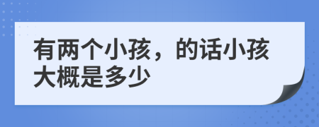 有两个小孩，的话小孩大概是多少