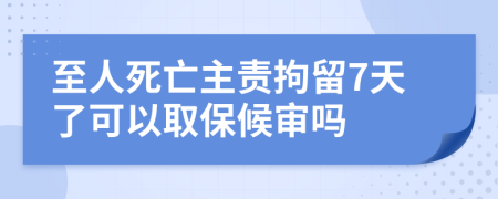 至人死亡主责拘留7天了可以取保候审吗