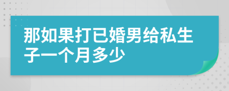 那如果打已婚男给私生子一个月多少