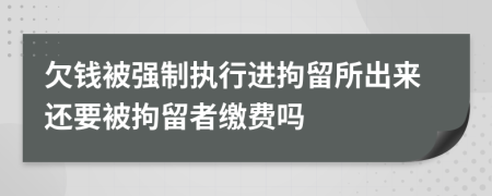 欠钱被强制执行进拘留所出来还要被拘留者缴费吗